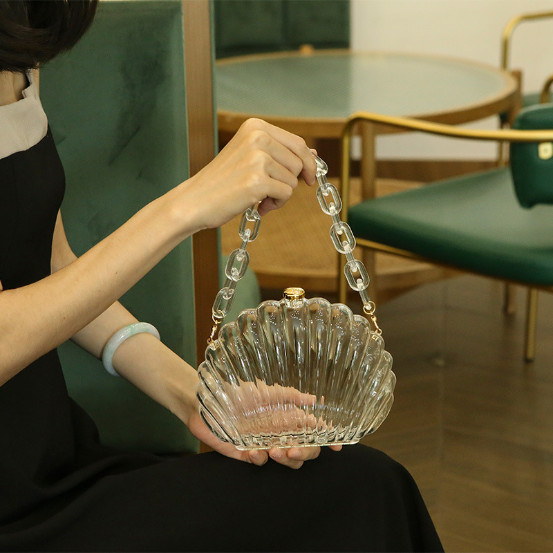 Acrylic Trong Suốt Vỏ Túi Thời - đánh giá và giá Women Bags Ysl